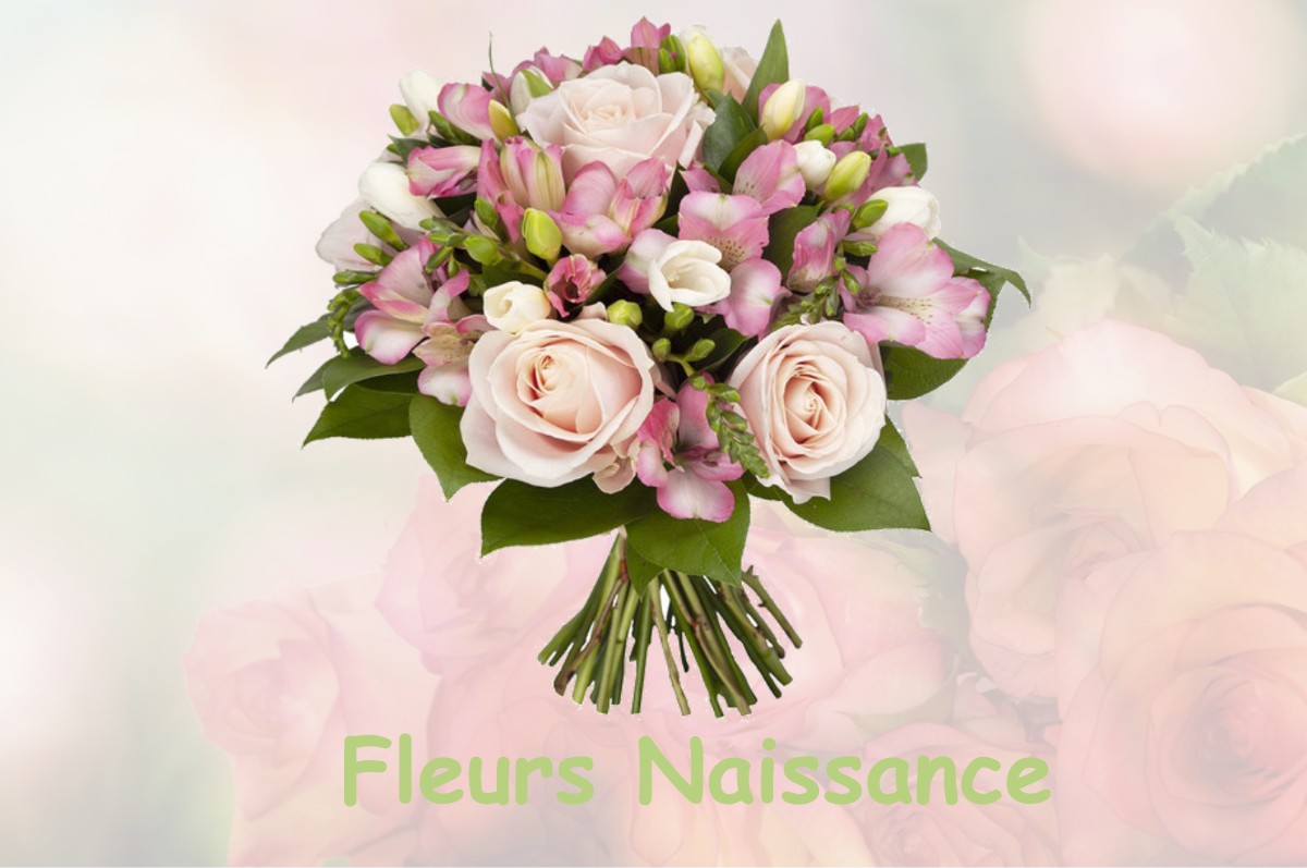 fleurs naissance MERRY-LA-VALLEE
